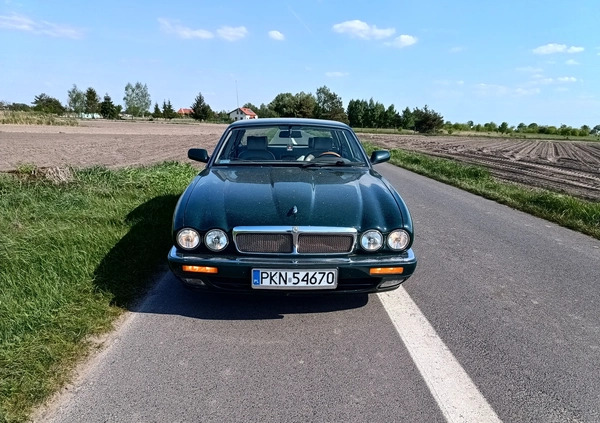 Jaguar XJ cena 20000 przebieg: 408386, rok produkcji 1995 z Golina małe 67